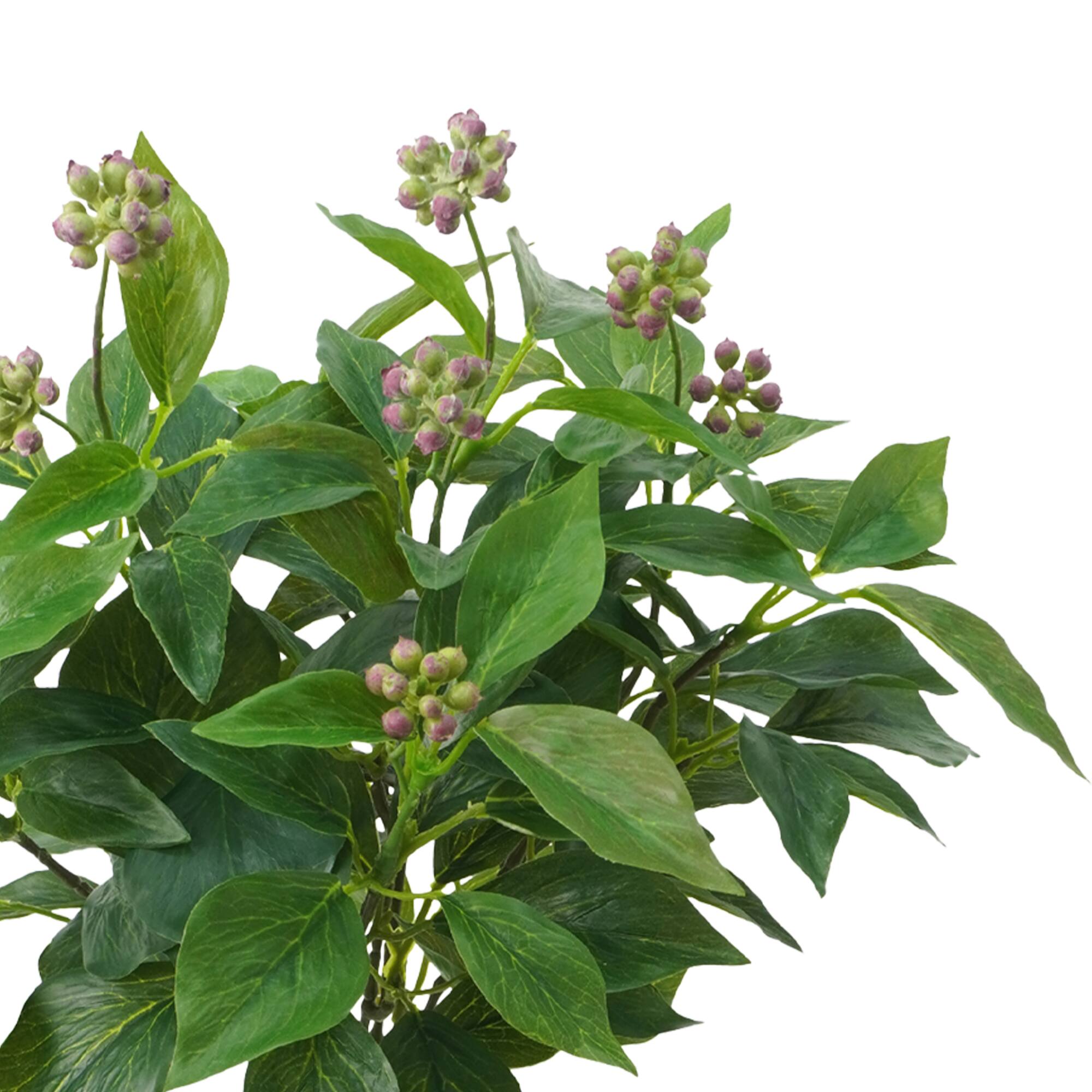 17" Fruiting Ivy Busy by Ashland®